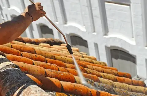 Nettoyage de toitures - Talence